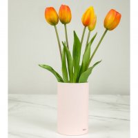 Tulip - Ever After Orange