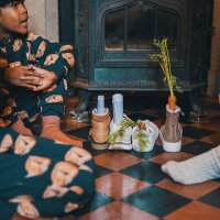 Sweater 'Fox' - Women