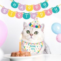 Pet Birthday kit - Kitty