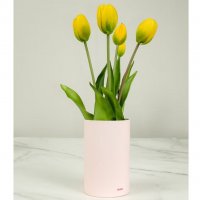 Tulip - Ever After Yellow