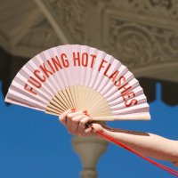 Handwaaier - Fucking hot flashes