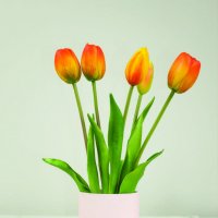 Preorder Tulip - Ever After Orange