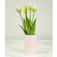 Tulip - Ever After White
