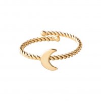 Ring 'Honorable' - Moon Goud