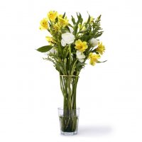 Invisivase