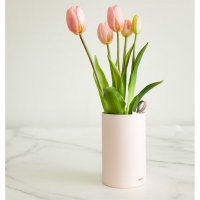 Tulip - Ever After Pink