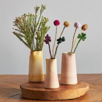 Endless Flowers 'Seed Case'