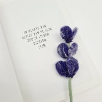 Endless Flowers 'Lavendel'