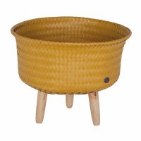 Basket Up - Low Mustard