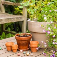 Blij met een kanjer zoals jij - Blossombs Weggeefcadeautje 