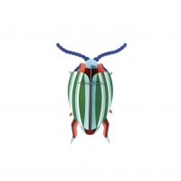 DIY Decoratie - Insect - Rainbow Leaf Beetle
