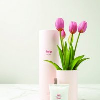 Preorder Tulip - Ever After Light Purple