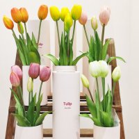 PRE-ORDER Tulip - Ever After