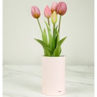 Tulip - Ever After Light Purple