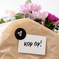 Mini kaartjes (10) - Troost