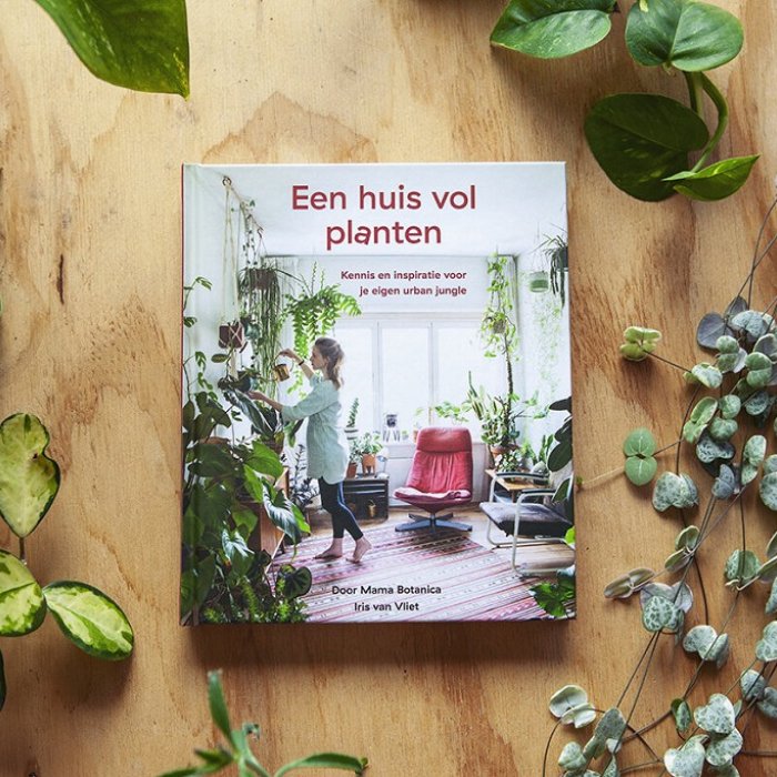 Boek 'Een huis vol planten'
