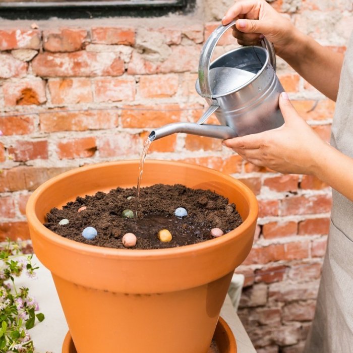 Blij met een kanjer zoals jij - Blossombs Weggeefcadeautje 