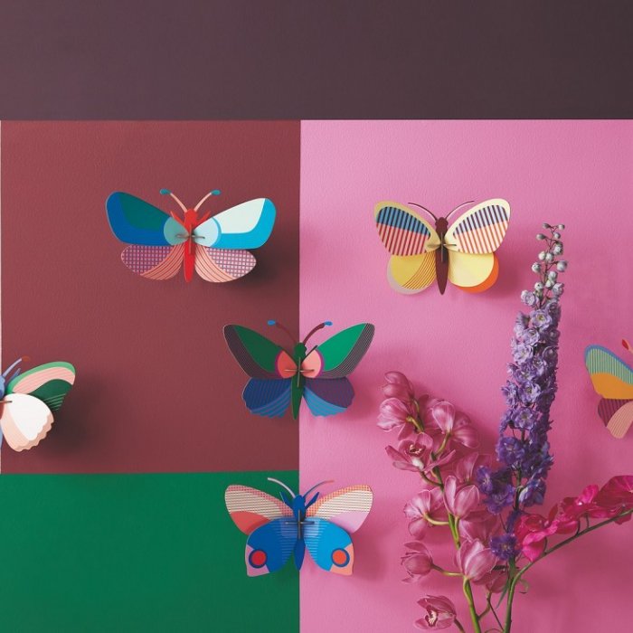 DIY Decoratie - Insect - Acacia Butterfly
