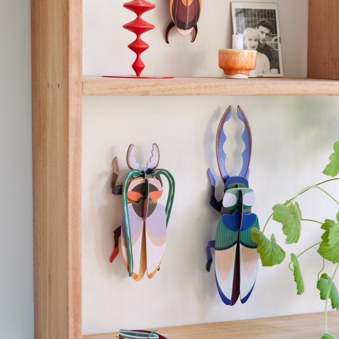 DIY Decoratie - Insect - Antler Beetle