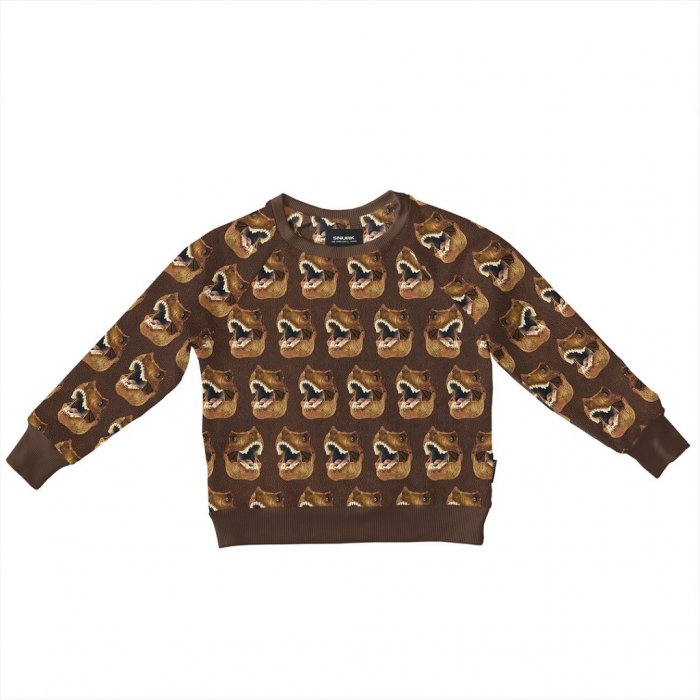 Sweater 'Dino Brown' - Kids