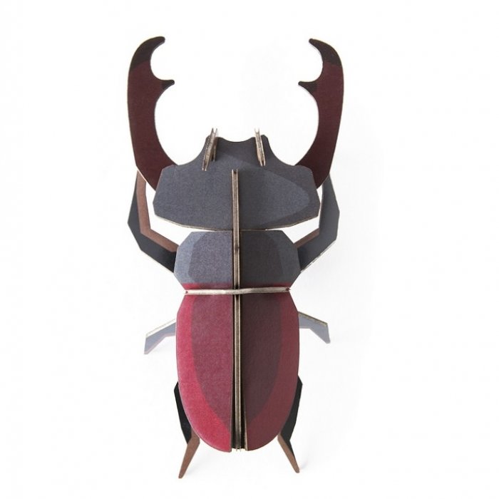 DIY Decoratie - Insect - Stag Beetle