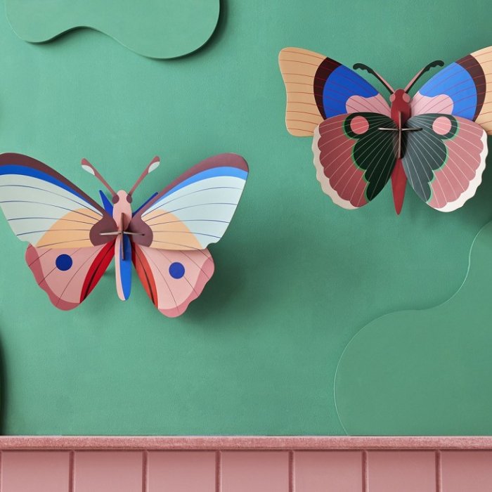 DIY Decoratie - Insect - Cepora Butterfly