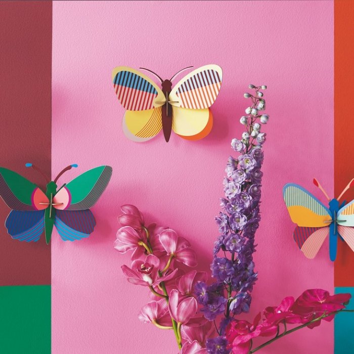 DIY Decoratie - Insect - Acacia Butterfly