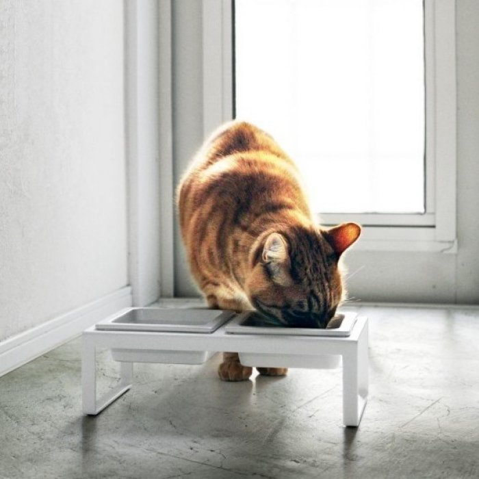 Dieren voederbak