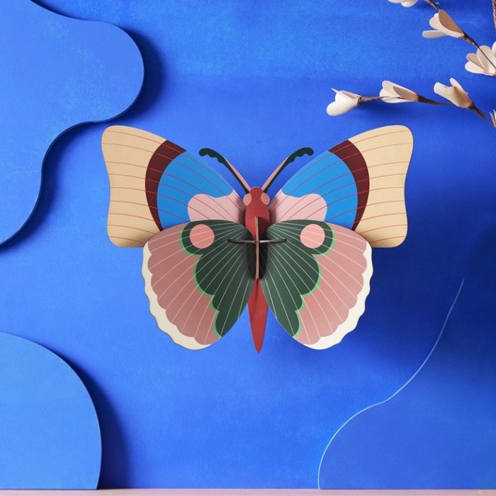DIY Decoratie - Insect - Cepora Butterfly