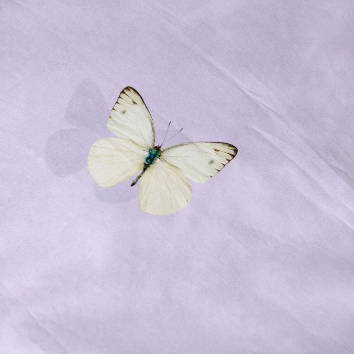 Dekbedovertrek 'Butterfly lila'