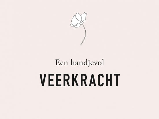 Liz is more - Boek 'Een handjevol Veerkracht' - Boek 'Een handjevol Veerkracht'