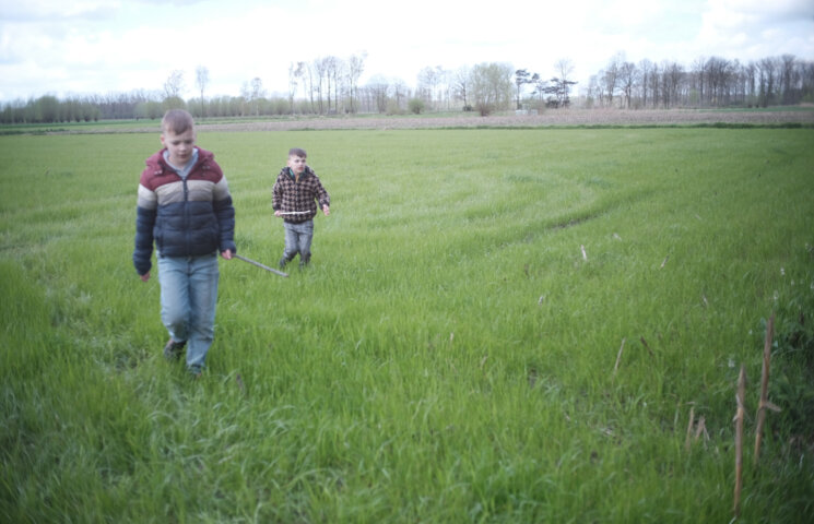 Streven naar biodiversiteit